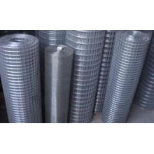 Welded Wire Mesh-Galivanized Wire Mesh